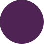 SOLVAY COLOR PALETTE DETAILS PURPLE PANTONE 262C