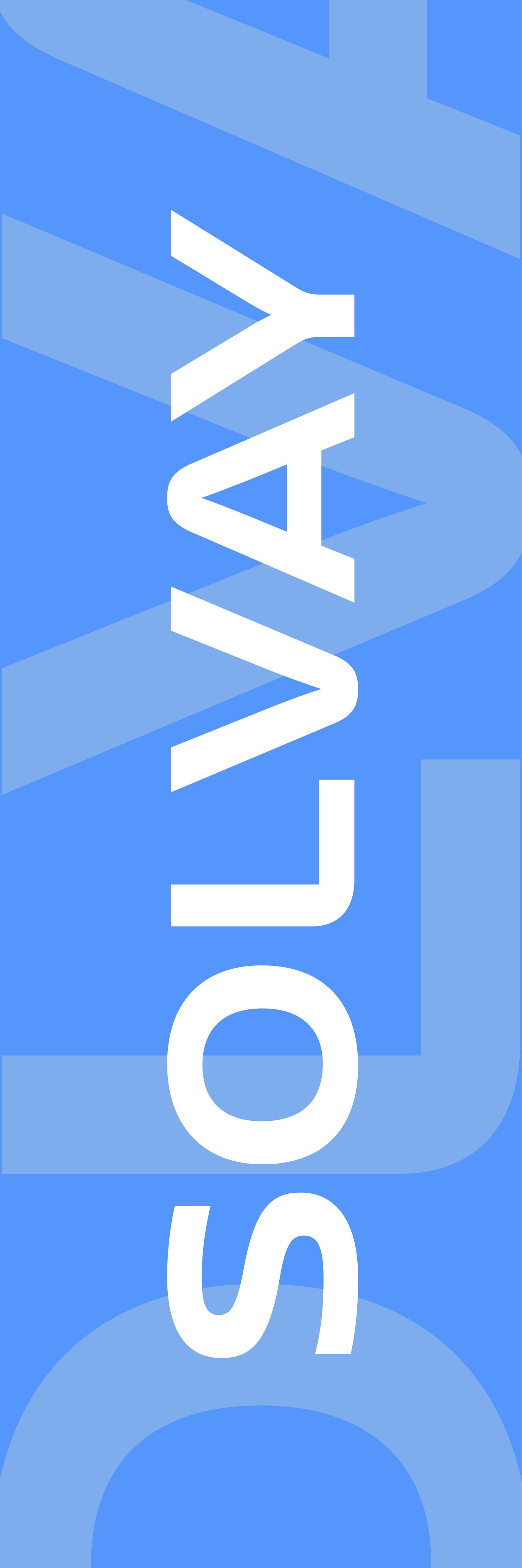 Flag _Vertical_A_1000x3000_EXT_DEF_RGB