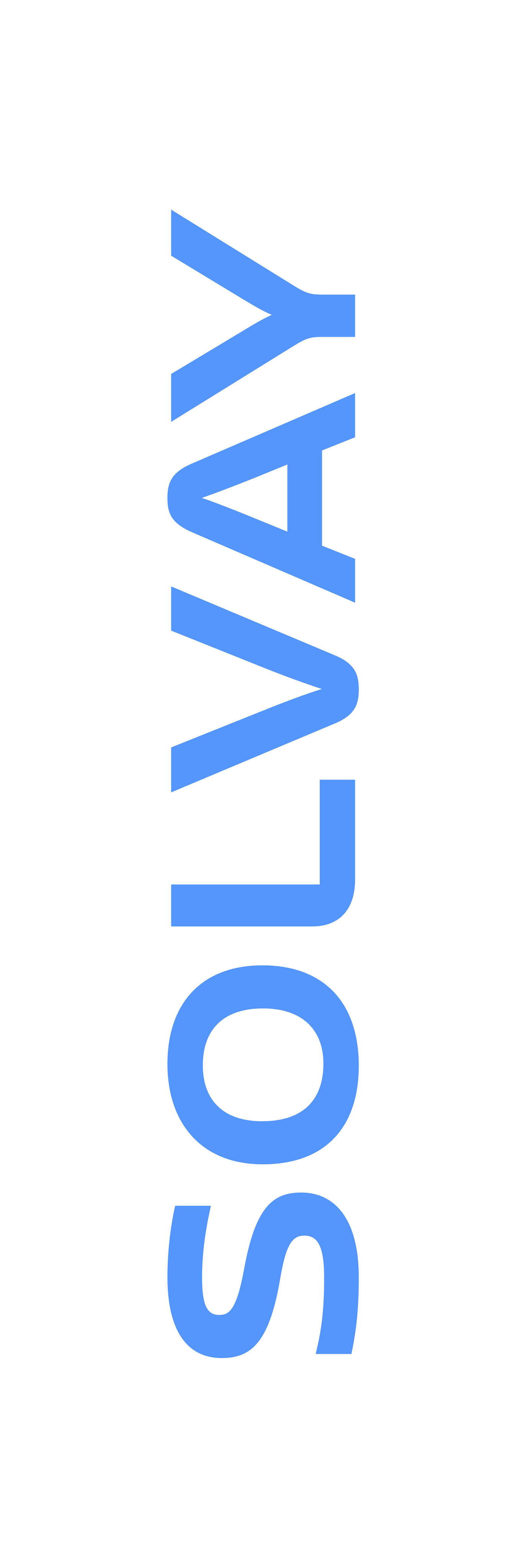 Flag_Vertical_B_1000x3000_EXT_DEF_RGB