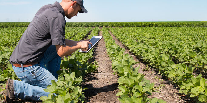 Agronomist Using a Tablet in an Agriculture Field