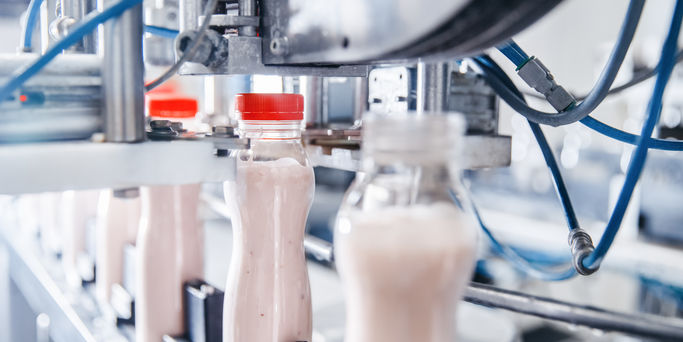 Dairy production, bottle of yoghurt on automated conveyor line