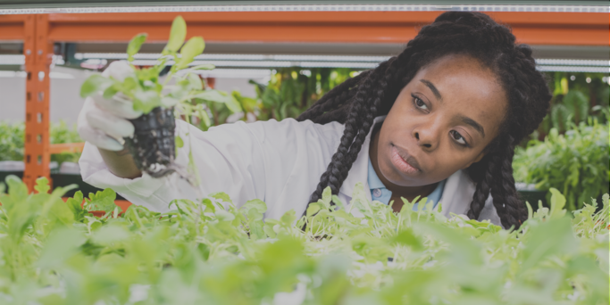 Agriculture - Plant nutrition section - banner image solvay